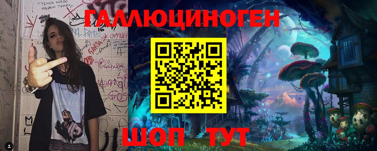где купить наркотик  Вход с VPN  Михайловск  Псилоцибиновые грибы GOLDEN TEACHER 