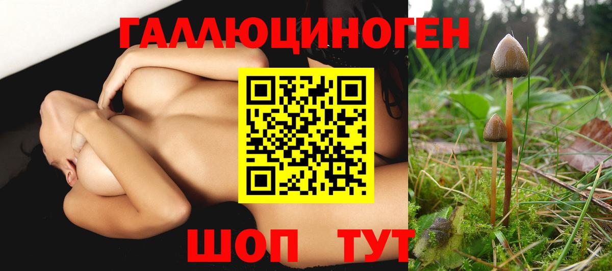 Галлюциногенные грибы MAGIC MUSHROOMS Михайловск